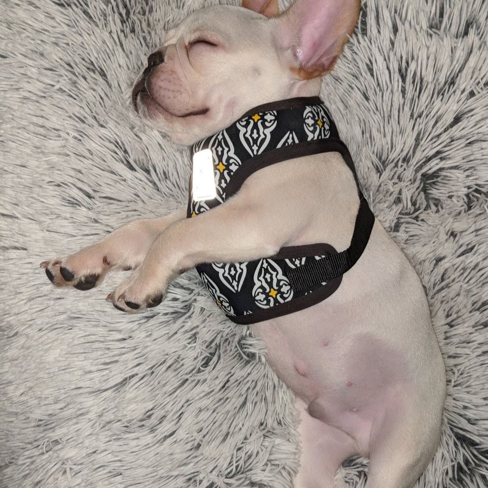 Meet your Posher, Bryan